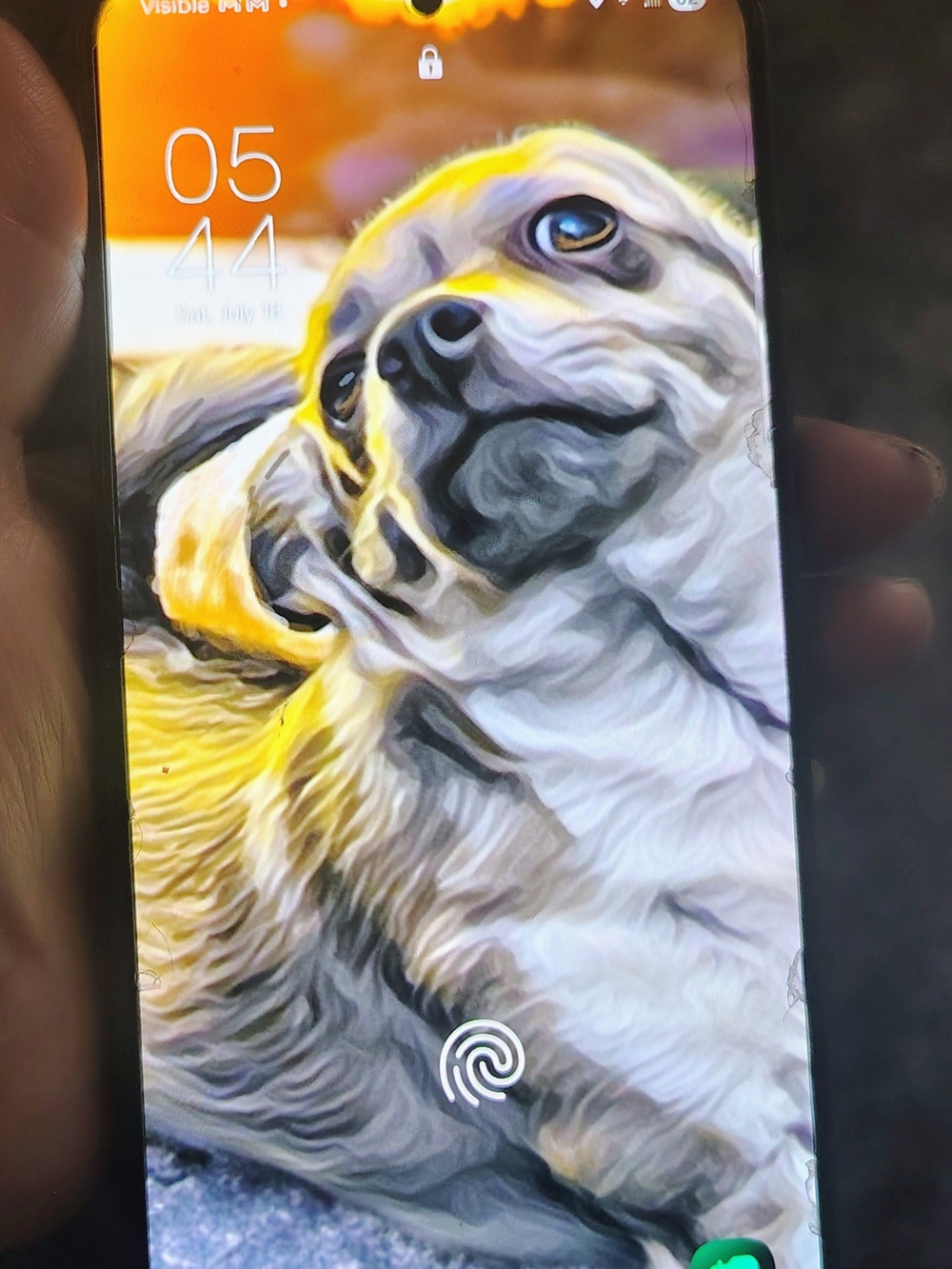 Samsung Galaxy S22+ Unlocked